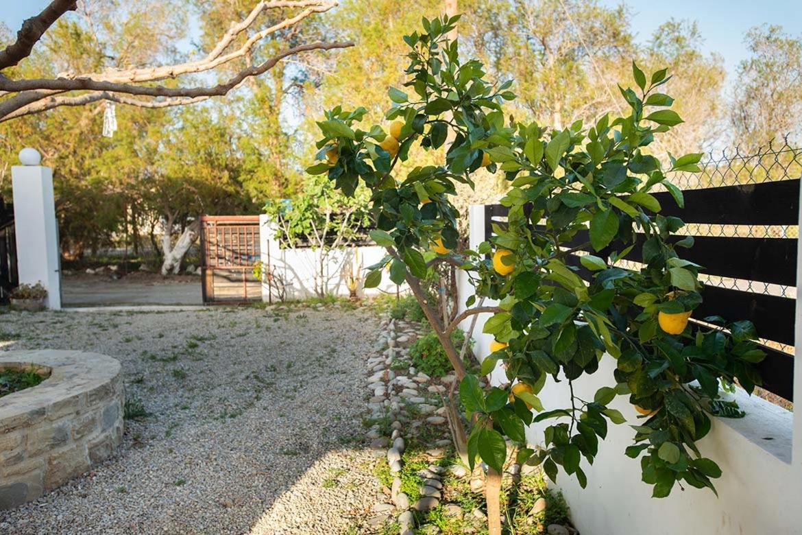 Afrathias Beachhouse - Cretan Hideaway Kalamaki  Buitenkant foto